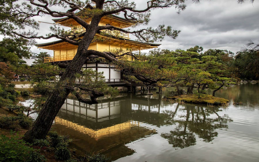 Kyoto Golden Pavilion Wallpaper