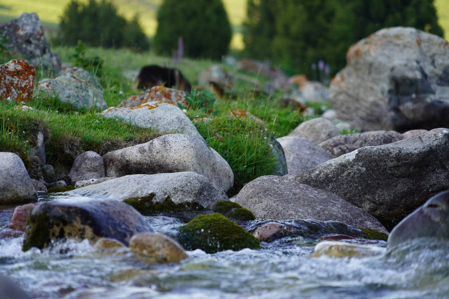 Kyrgyzstan Stream Bed Wallpaper