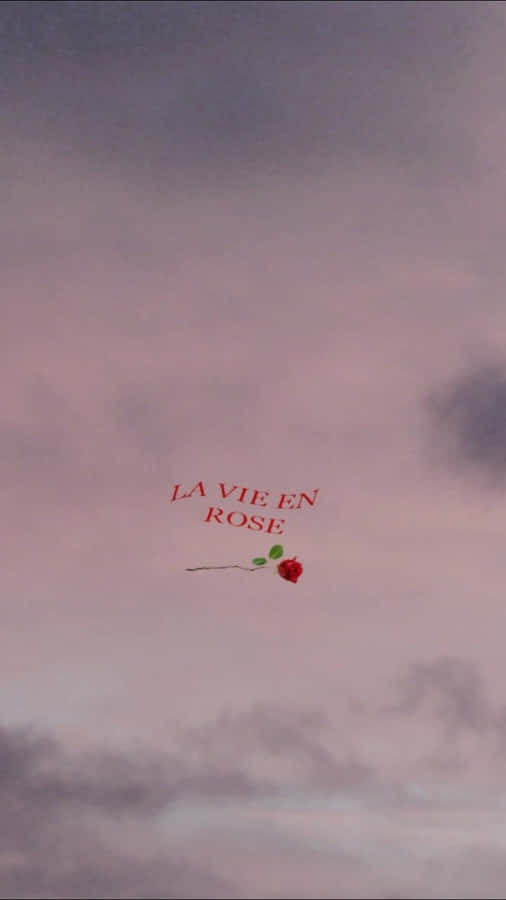 La Vien Red Rose Aesthetic Wallpaper