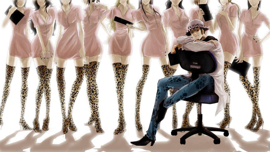 Ladies' Man Trafalgar Law Wallpaper