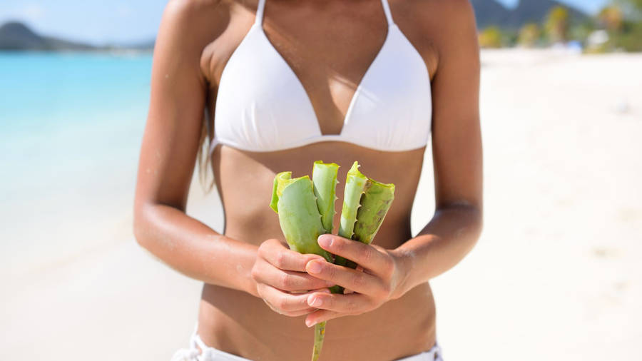 Lady Holding Aloe Very At Beach Wallpaper