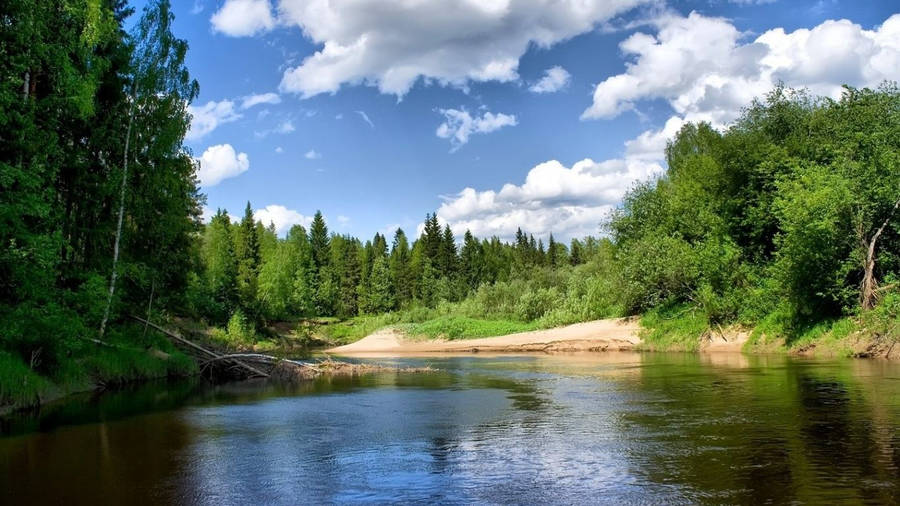 Lake View In The Forest Wallpaper