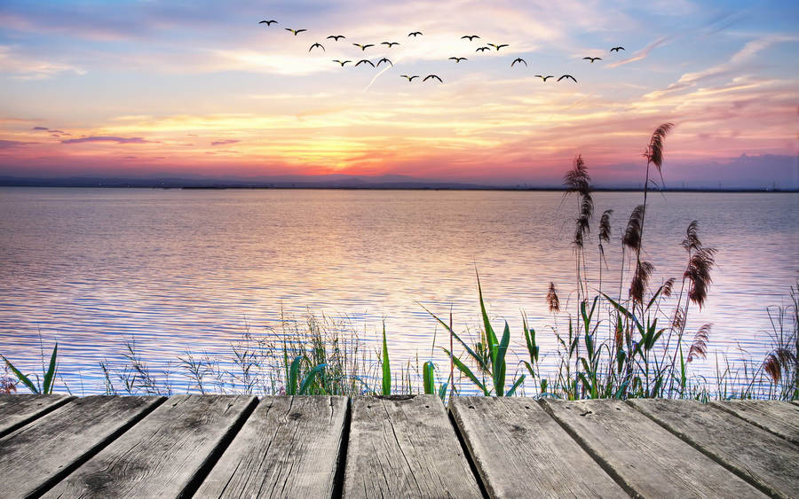 Lake View With Flock Of Bird Wallpaper