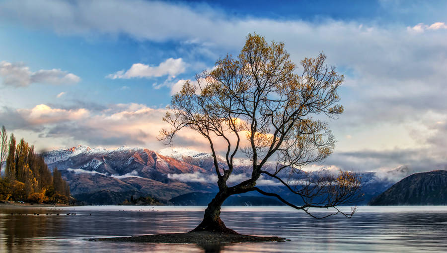 Lake Wanaka New Zealand Wallpaper