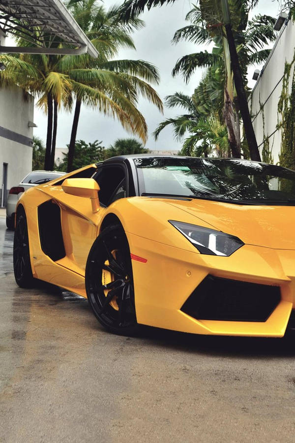 Lamborghini Iphone Yellow Aesthetic Palm Trees Wallpaper