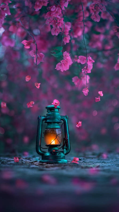 Lamp And Flower Mobile Wallpaper