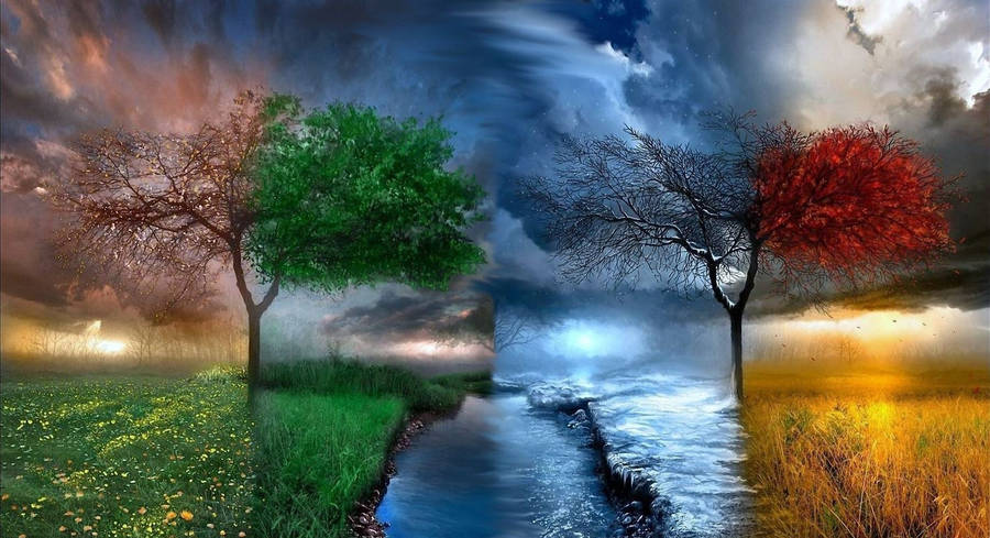 Landscape During Seasons Wallpaper