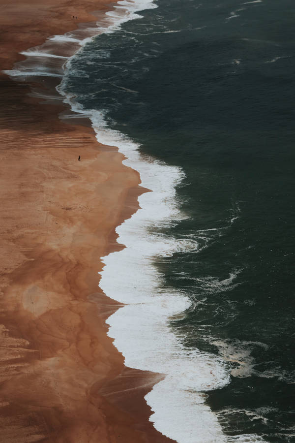 Large Beach Aerial View Wallpaper