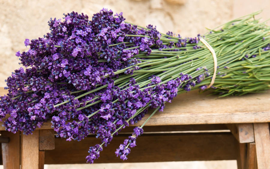 Large Bundle Of Lavender Desktop Wallpaper