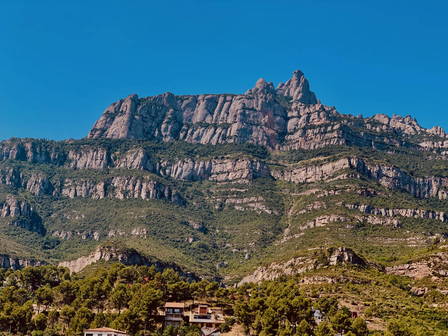 Large Montserrat Patches Wallpaper