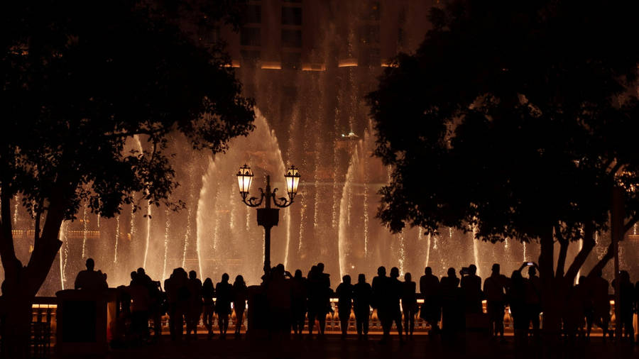 Las Vegas Bellagio Fountains At Night Wallpaper