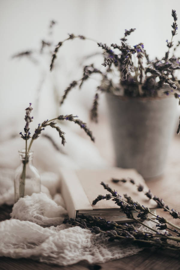 Lavender Aesthetic Book Desktop Wallpaper