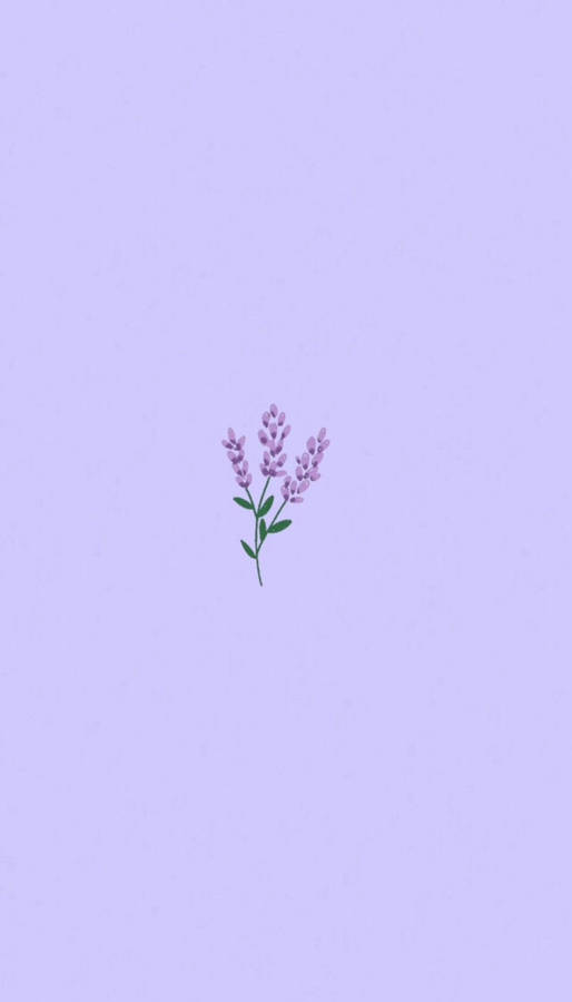 Lavender Flowers Aesthetic Art Wallpaper