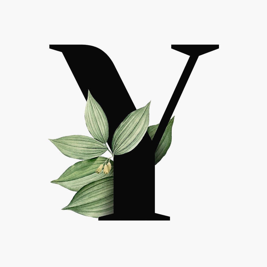 Leafy Letter Y Wallpaper