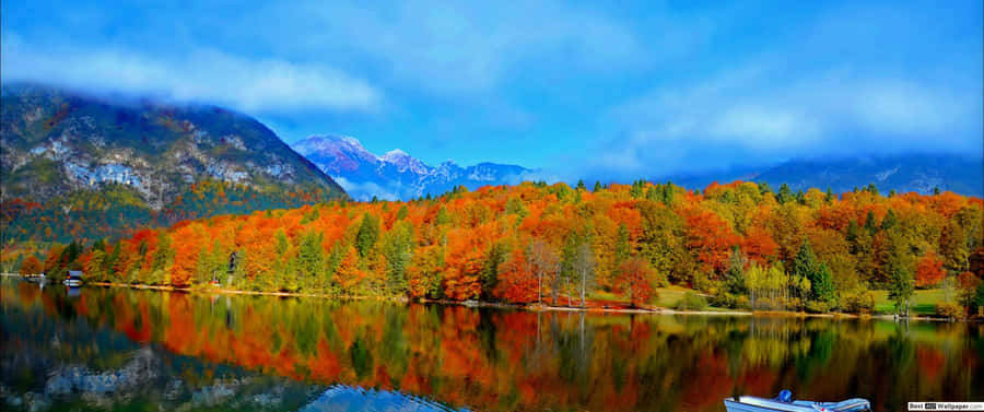 Leaves Of Autumn In 3440x1440 Resolution Wallpaper