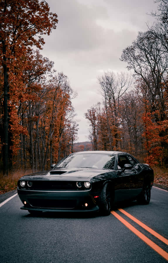 Legendary Style In 4k - Dodge Challenger Wallpaper