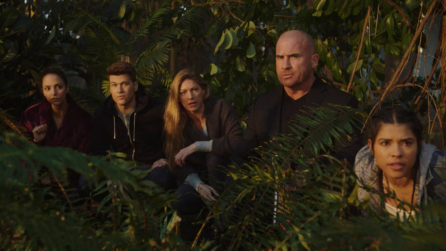 Legends Of Tomorrow Behind The Bush Wallpaper