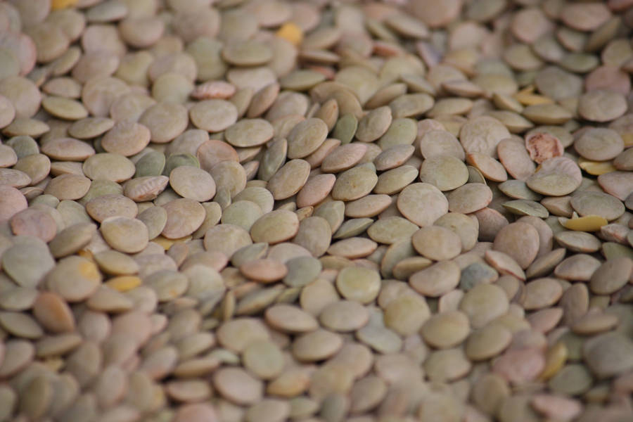 Lentils In Large Quantity Wallpaper