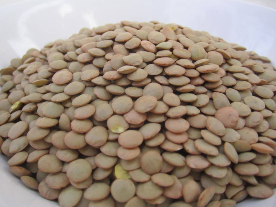 Lentils In White Bowl Wallpaper