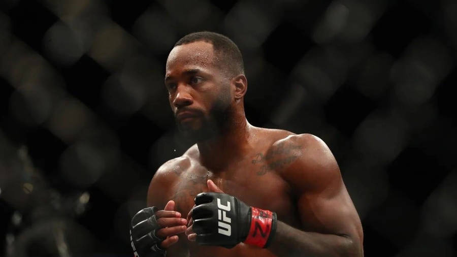 Leon Edwards Ring Closeup Wallpaper