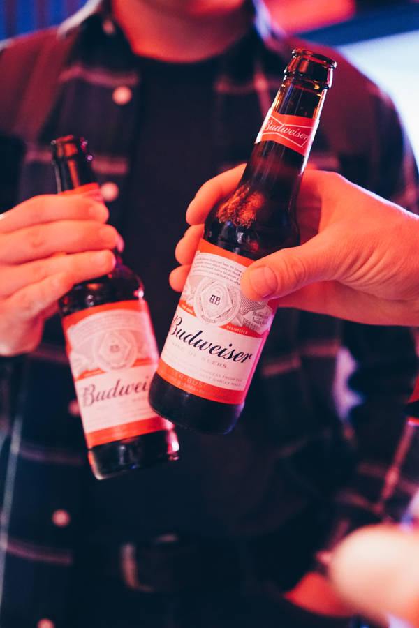 Let's Toast To Cheers With Budweiser Wallpaper