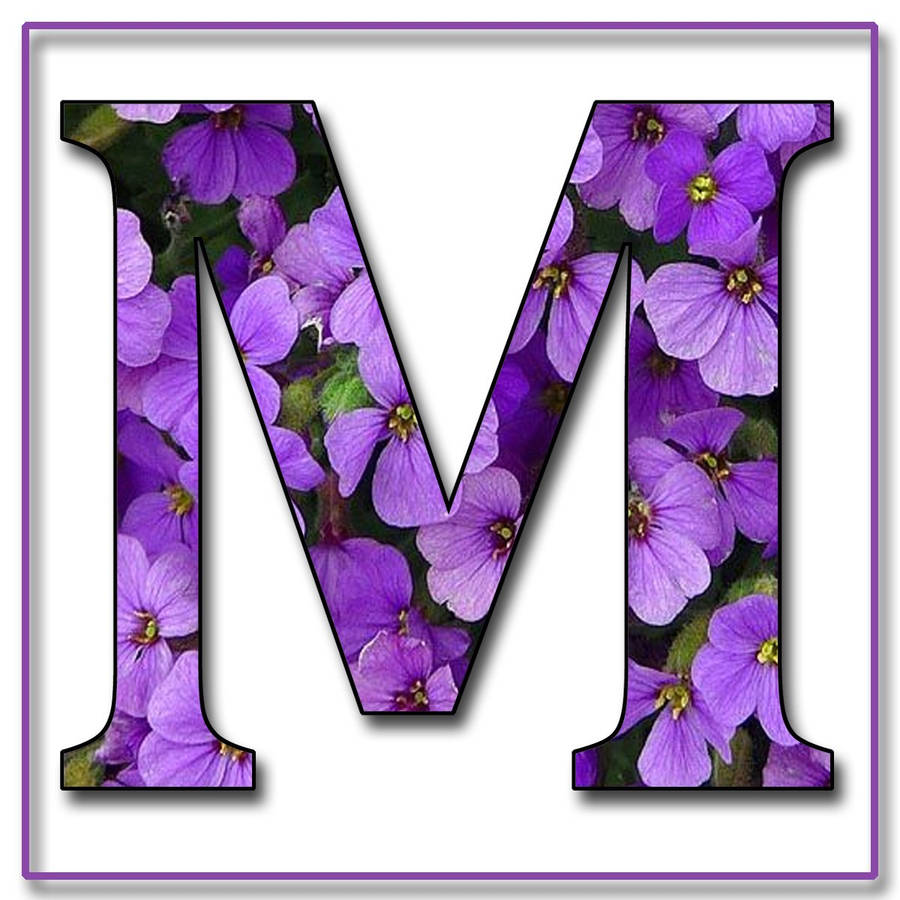 Letter M Purple Flower Wallpaper