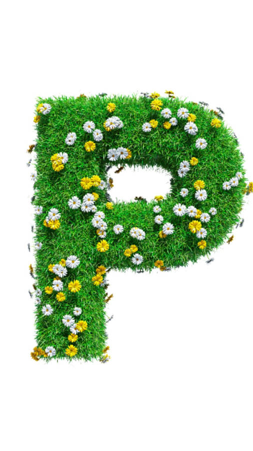 Letter P Green Spring Wallpaper