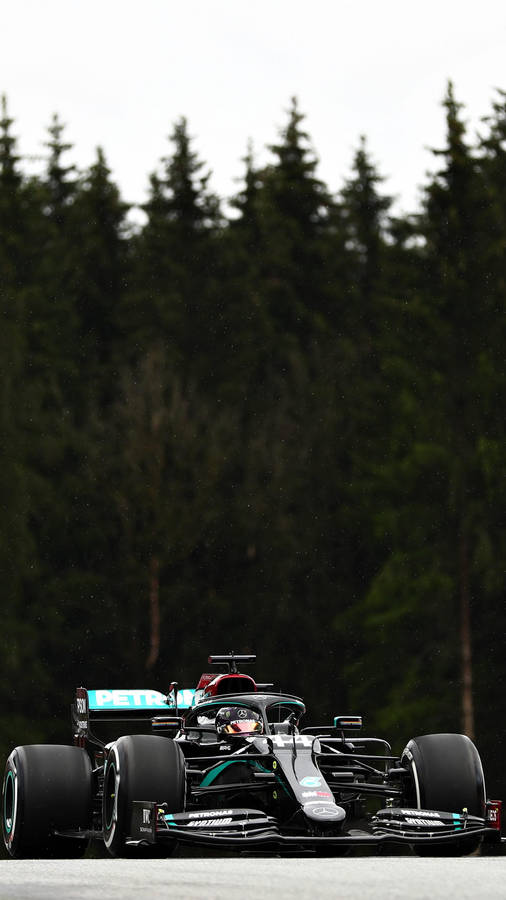 Lewis Hamilton Tall Pine Trees Wallpaper