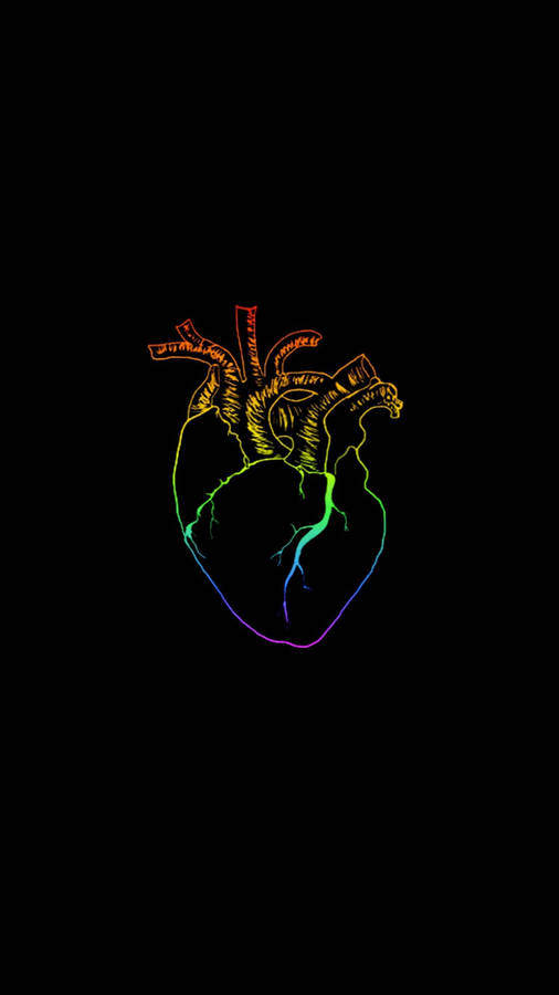 Lgbt Themed Human Heart Wallpaper