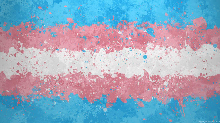 Lgbt Transgender Flag Paint Wallpaper