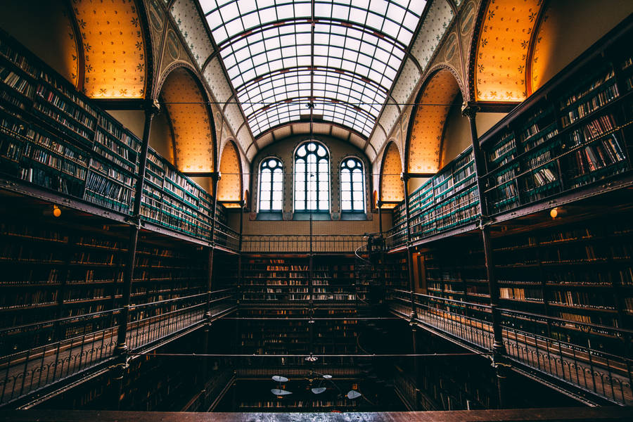 Library Hallway Wallpaper