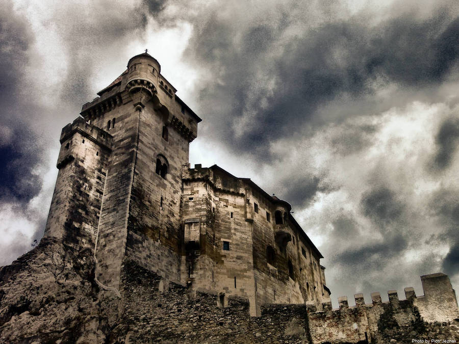 Liechtenstein Castle Bottom View Wallpaper