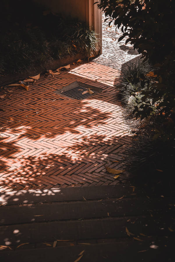 Light Brown Pavers Wallpaper