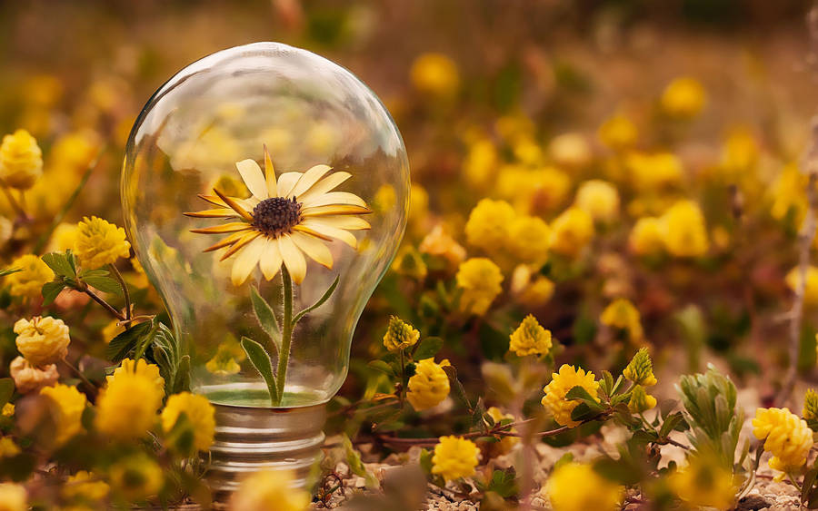 Light Bulb With Sunflowers Wallpaper