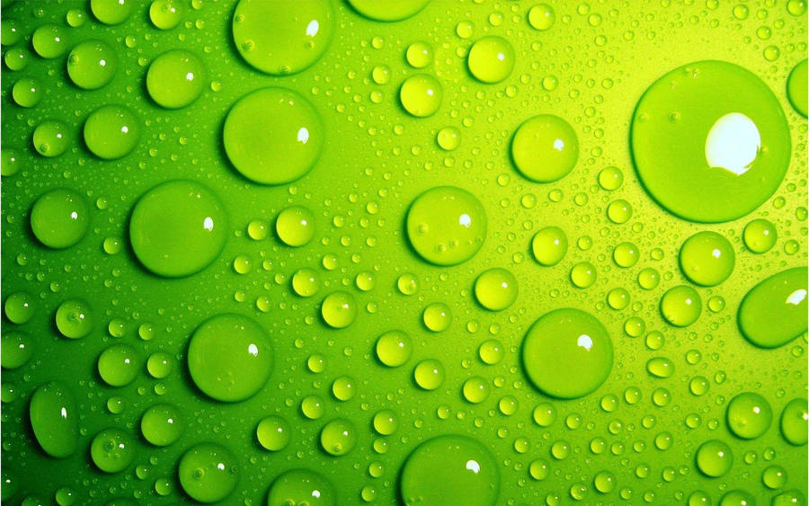 Light Green Droplets Wallpaper