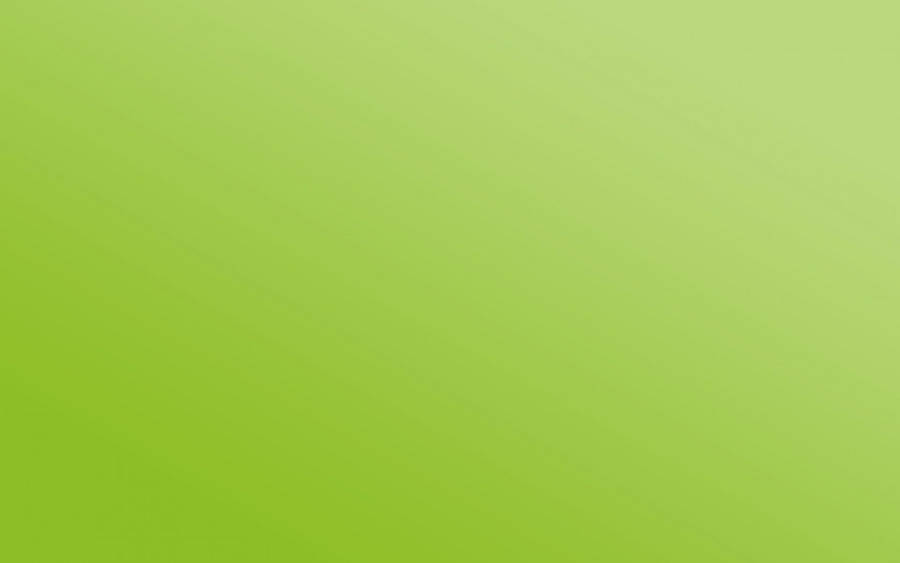 Light Green Gradient Wallpaper