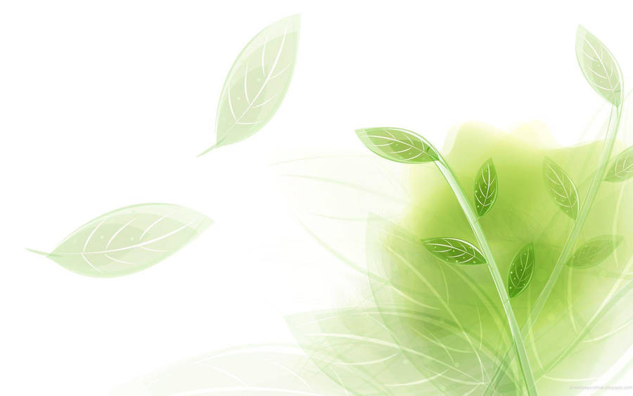 Light Green Leaves Illustration Wallpaper