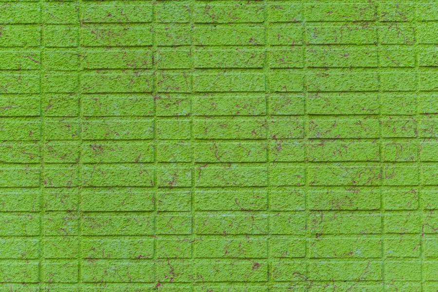 Light Green Plain Brick Wallpaper