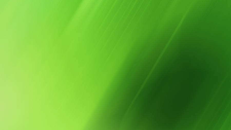 Light Green Plain Diagonal Abstract Wallpaper