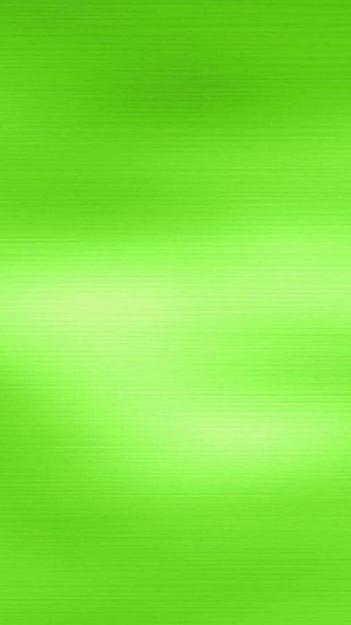 Light Green To Lighter Wallpaper