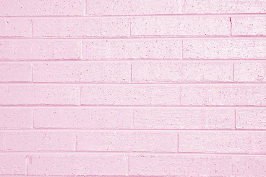 Light Pink Color Wall Wallpaper