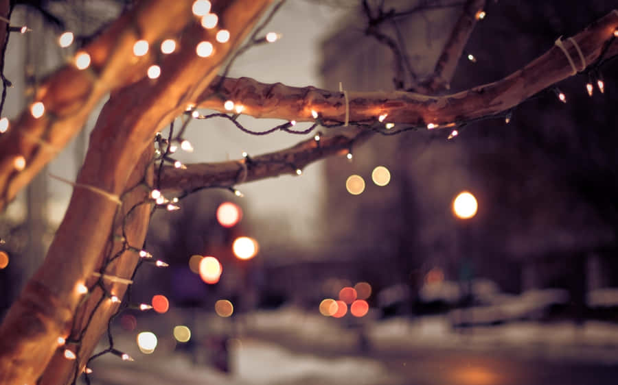 Lights Decoration Branches Wallpaper