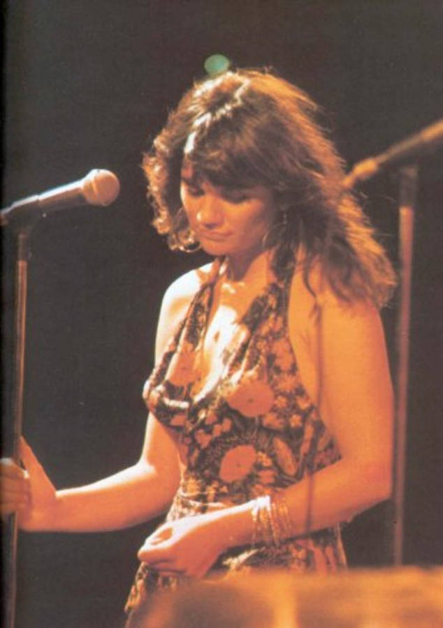 Linda Ronstadt Concert 1974 Wallpaper