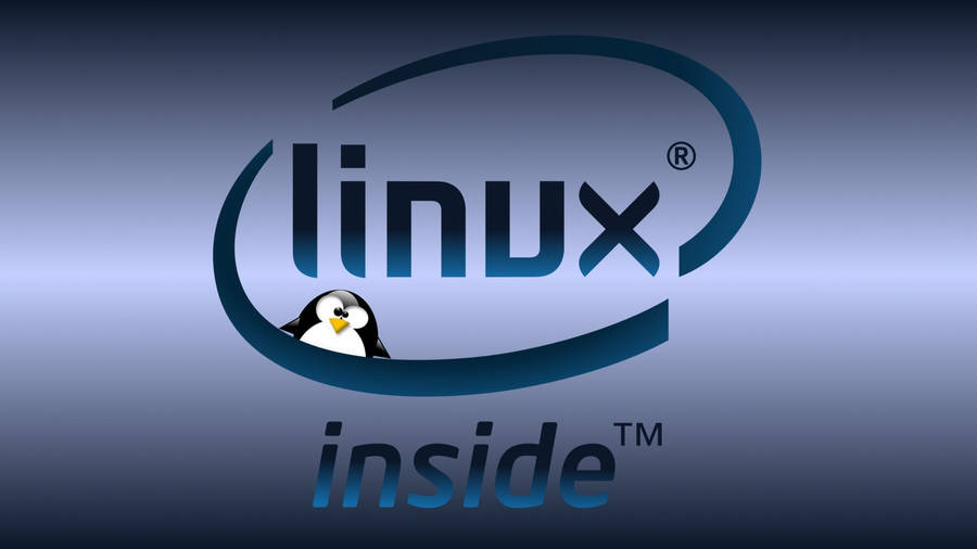 Linux Os Penguin Inside Wallpaper