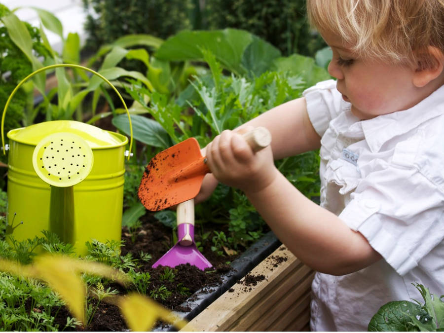 Little Boy Gardening Wallpaper