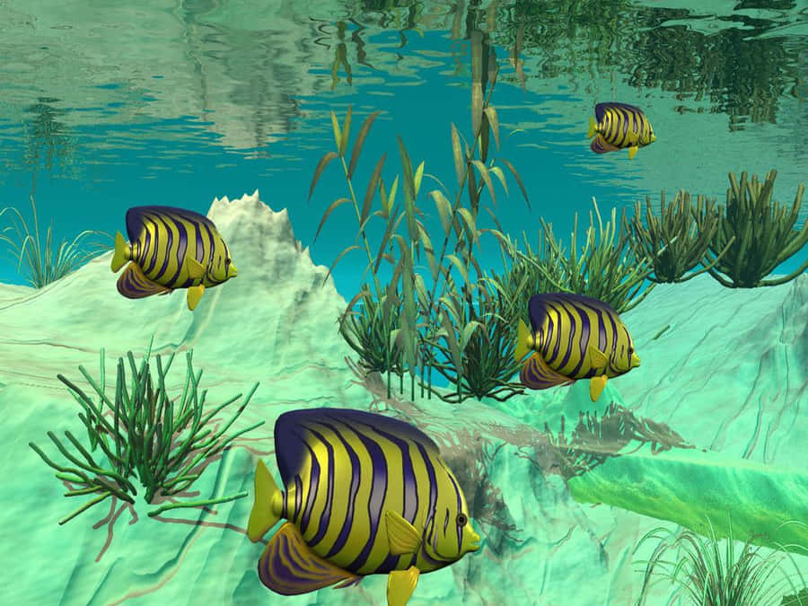 Live Angelfish Under The Sea Art Wallpaper