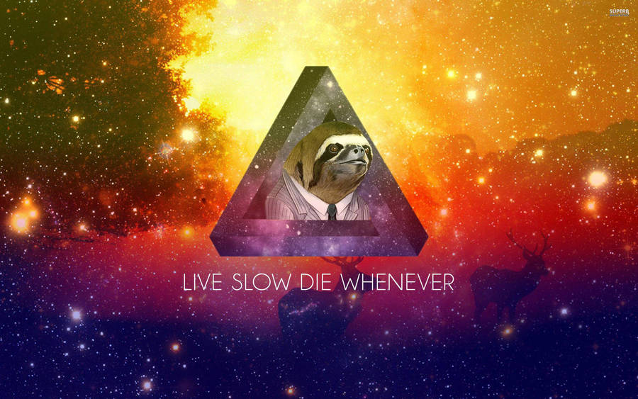 Live Slow Die Whenever Sloth Wallpaper