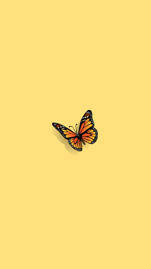 Lone Aesthetic Orange Butterfly Wallpaper