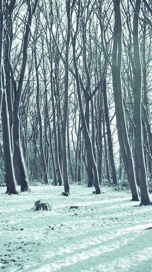 Lonely Bitter Snow Forest Iphone Wallpaper