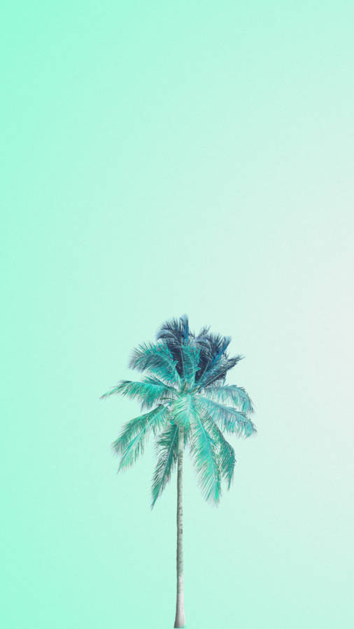 Lonely Palm Tree With A Mint Green Background Wallpaper
